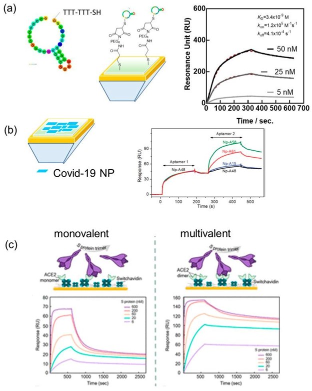 【佳学基因检测】检测 SARS-CoV-2 病毒颗粒的等离子体方法 【佳学基因检测】检测 SARS-CoV-2 病毒颗粒的等离子体方法